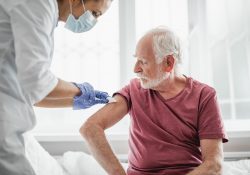 Third dose vaccinations for over-70s preview image
