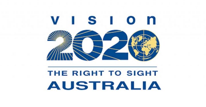 Community eye health webinar presented by The Vision Initiative preview image