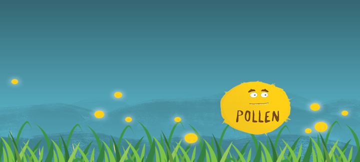 Protect yourself this pollen season preview image