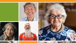 Priorities for older Victorians: Submission for the Victorian State Budget 2023-2024 preview image